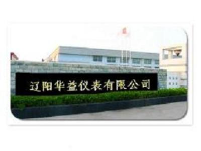 辽阳华益仪表 世纪电源网仪器仪表领域的卓越典范